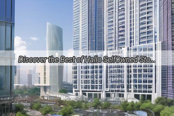 Discover the Best of Hallo SelfOwned Stores in Guangzhou A Shopping Paradise Unveiled